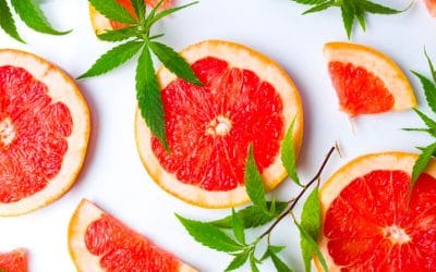 #42: The Citrusy Secret of Cannabis: An In-Depth Look at Limonene