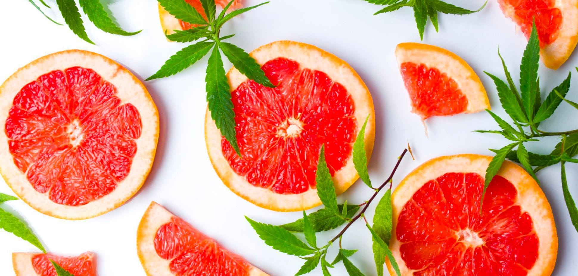 #42: The Citrusy Secret of Cannabis: An In-Depth Look at Limonene