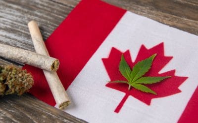 #36: Cannabis Goes Mainstream: How Canada Is Leading the Way
