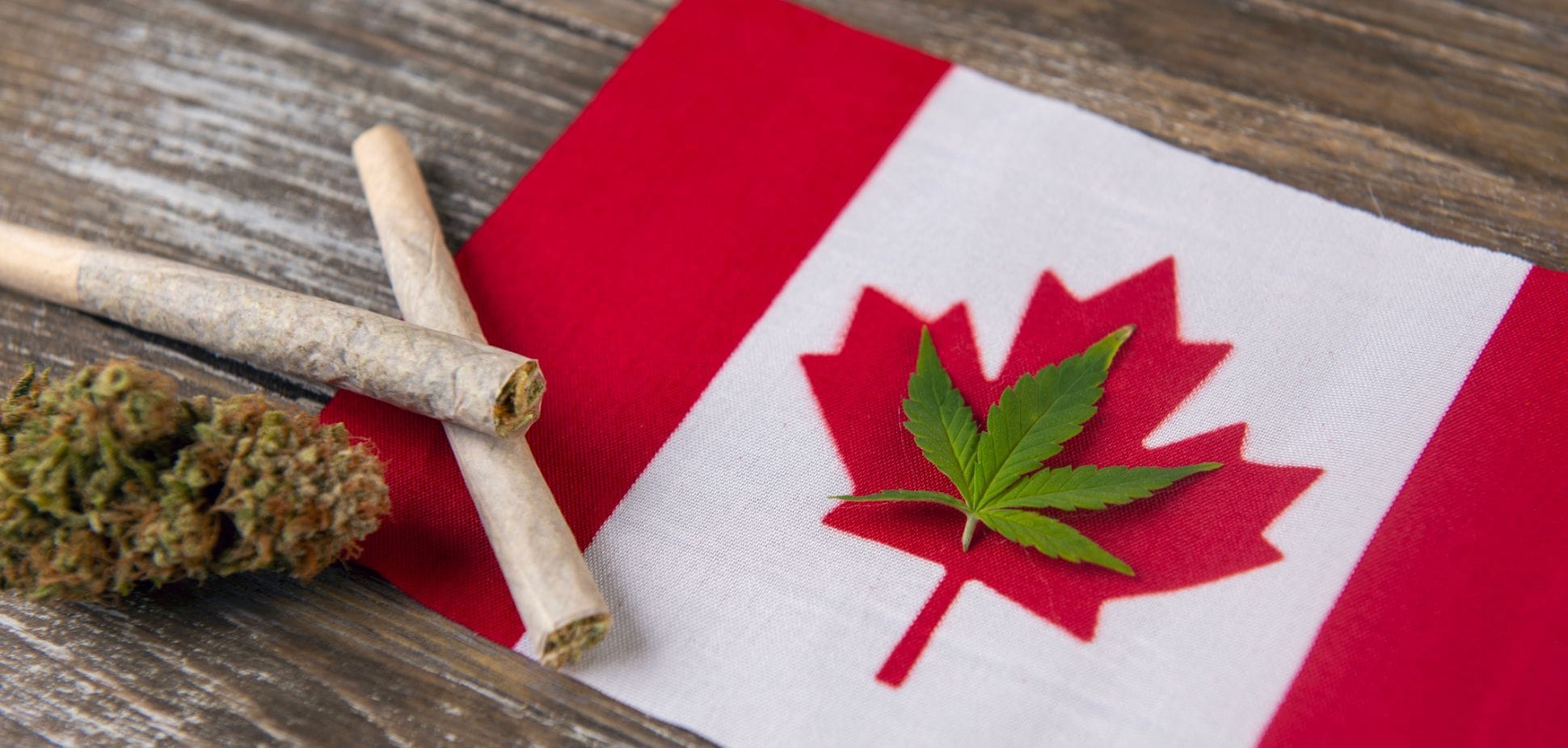 1_203b247b-5dd2-421d-8540-b35bf2b2bb41 #36: Cannabis Goes Mainstream: How Canada Is Leading the Way