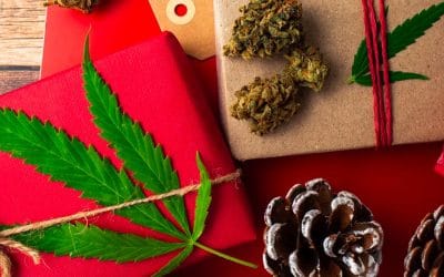 #57: The Green Holiday Guide: Unique Cannabis Gift Ideas for 2023