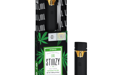 STIIIZY DISPOSABLE- HALF GRAM- BLUE BURST