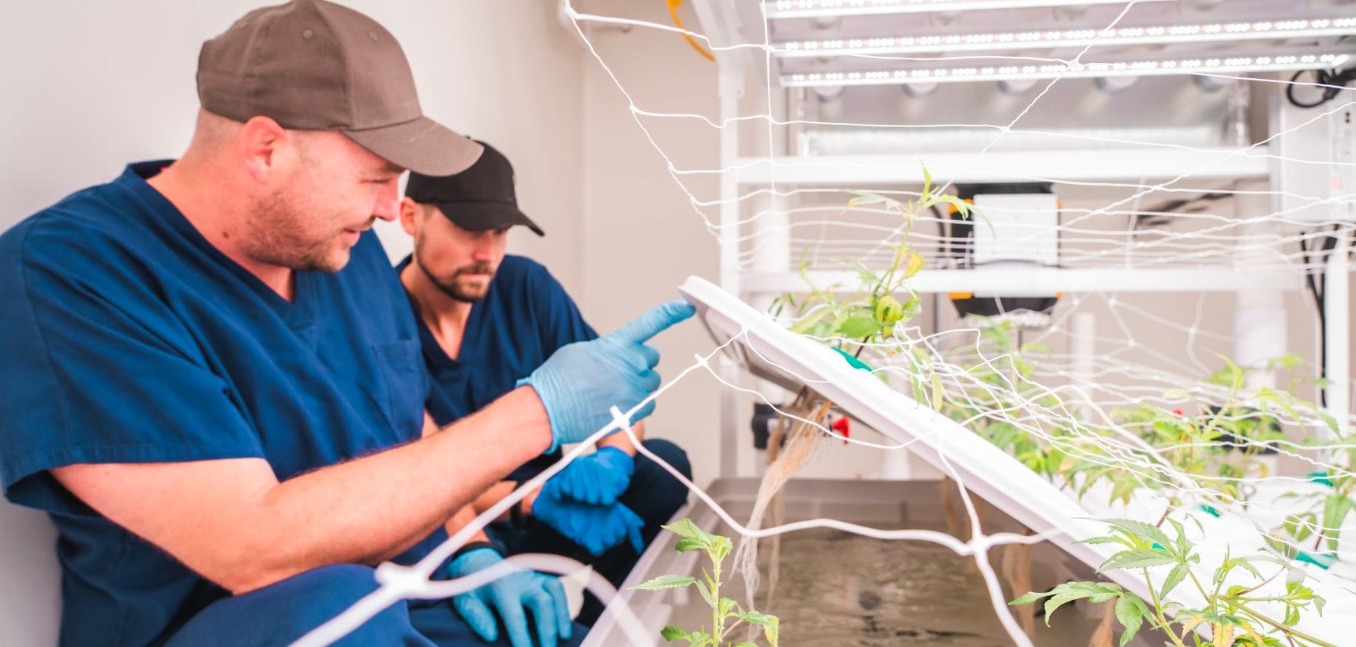 #45: Cake & Caviar's Aquaponics Marvel: Where Cannabis and Salmon Converge
