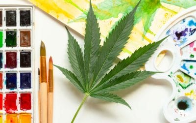 #38: High on Creativity: How Cannabis Fuels the Fire of Imagination