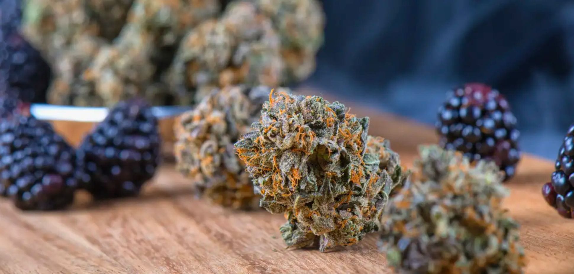 flavonoids #50: The Unsung Heroes of Cannabis: A Deep Dive into Flavonoids