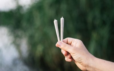 #56: Infused Pre-Rolls 101: A Beginner’s Guide to a Next-Level Experience